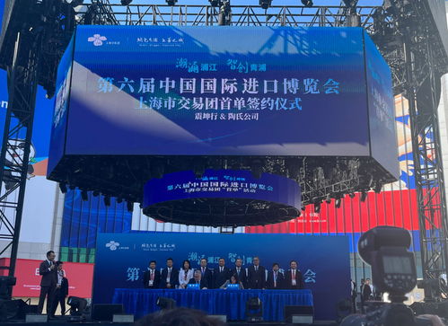 放眼世界，只有中國可以辦進(jìn)博會這樣的展會——從丁一凡觀點(diǎn)看軟件代理服務(wù)的機(jī)遇與前景