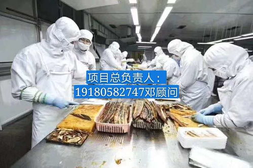 普瑞瑪扳手泵 報價、廠家與軟件代理服務全解析